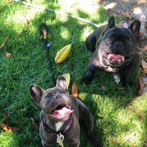 Meet your Posher, Cesar